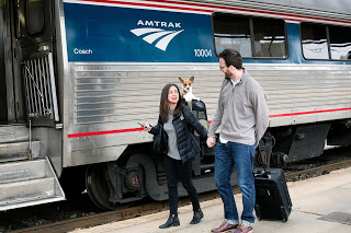 Pets Now Welcome on Amtrak Cascades Trains